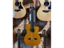 Takamine TH5C