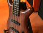 Warwick Corvette Standard