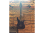 Schecter Banshee-6 FR SGR