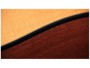 Taylor 110CE Sapele / Spruce
