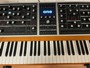 Moog Music ONE 8 voci