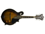 Washburn M3 EK alternative image  1