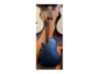 Ovation CS 255 12-Corde