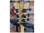 Schecter Dan Donegan Signature