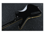 Ibanez PS120 BK Paul Stanley Signature - Black alternative image  4