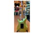 Sire Larry Carlton S7