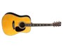 Martin D-41 (2025)