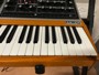 Moog Music ONE 8 voci
