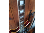 D'angelico Premier DC