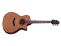 Crafter STG T-18ce Pro