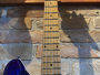 Evh Wolfgang Special Chlorine Burst