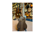 Ortega RCE159-8 String