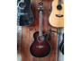 Ibanez AEL20E