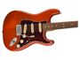 Fender Player Stratocaster PF Aged Natural Limited Edition