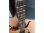Ibanez Egen 8