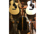 Martin D-13E Ziricote immagine alternativa  8