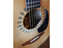 Takamine NP-15C