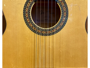 Jose Torres JTF-50
