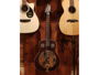 Fender Dobro Brown Derby
