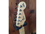 Fender Stratocaster Standard 40th