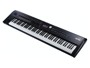 Roland RD-2000 EX