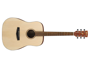 Ibanez PF10 Open Pore Natural