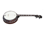 Tennessee Banjo Tennessee Premium With Case