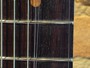 Fender American Vintage II 1961 Stratocaster immagine alternativa  6